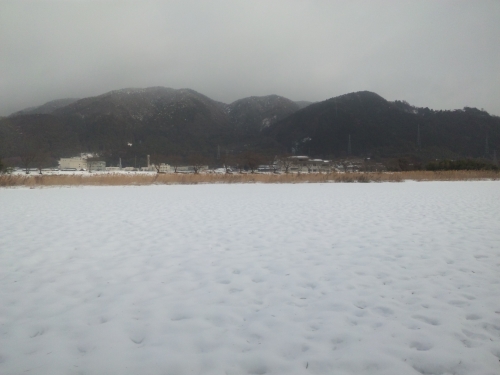 ファイル名: SH3K0129.jpg
ファイルサイズ: 94.1KB SH3K0129