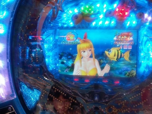 SH3K0593